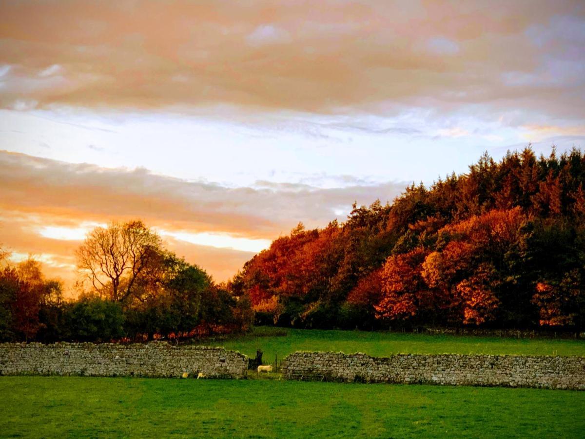 Bruxie Holiday Cottages - Honeysuckle Cottage Maud 외부 사진